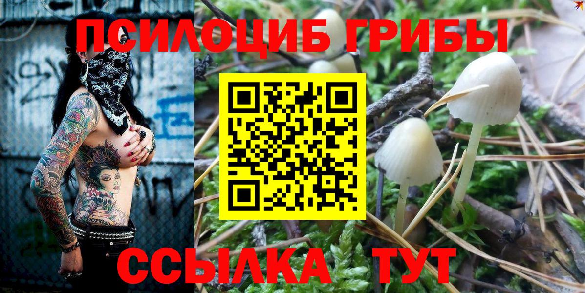 Псилоцибиновые грибы GOLDEN TEACHER Кизилюрт