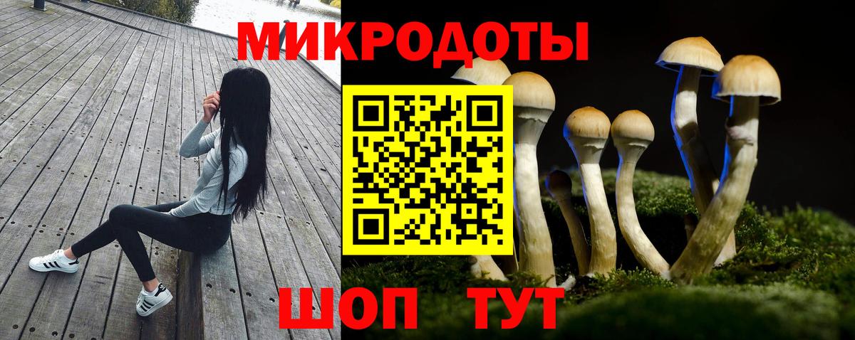 где можно купить   Галлюциногенные грибы ЛСД  Вход с VPN  Кизилюрт 